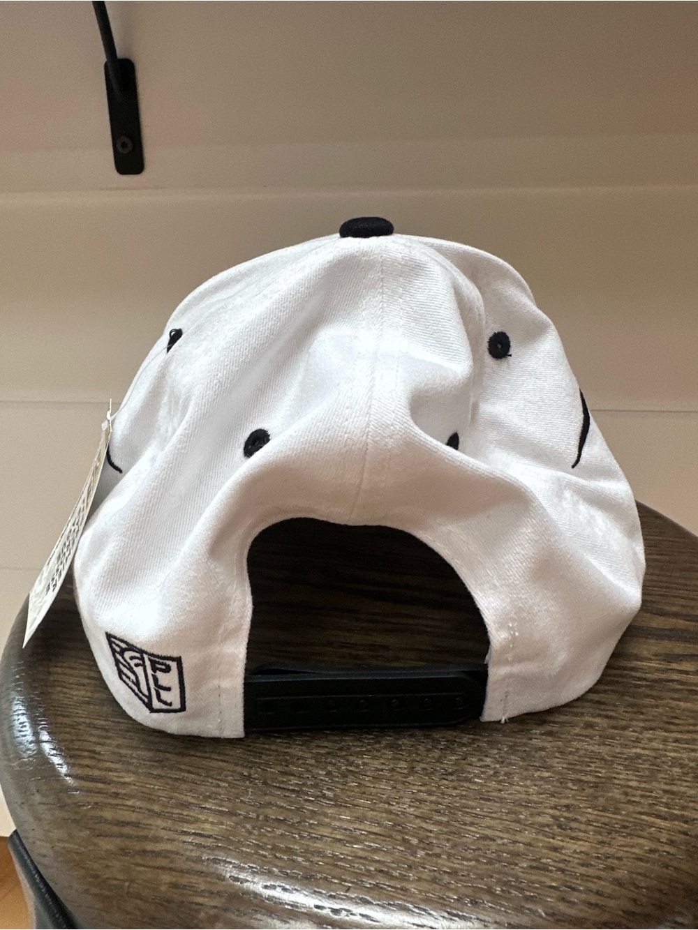 Philadelphia Waterdogs White & Black Snapback Hat with Purple Accents - Picture 2 of 3